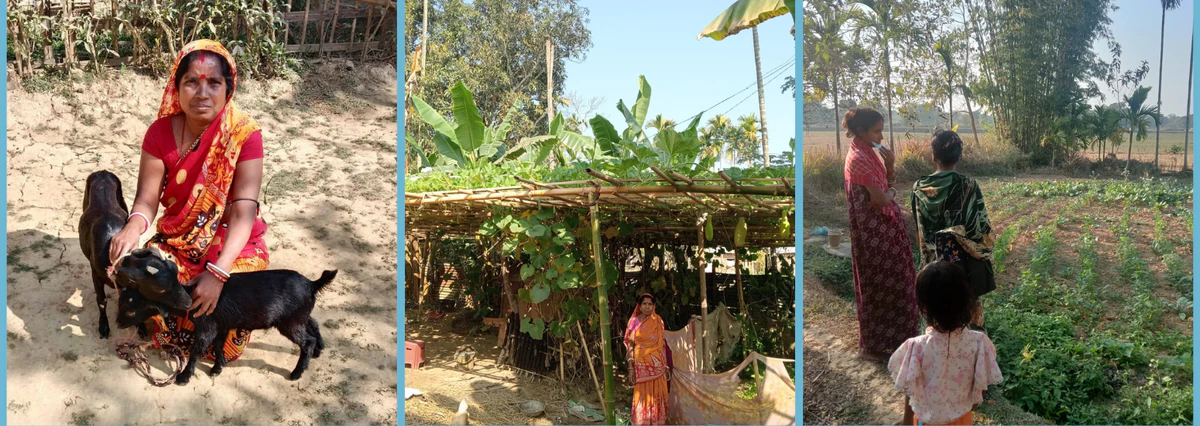 Livelihood